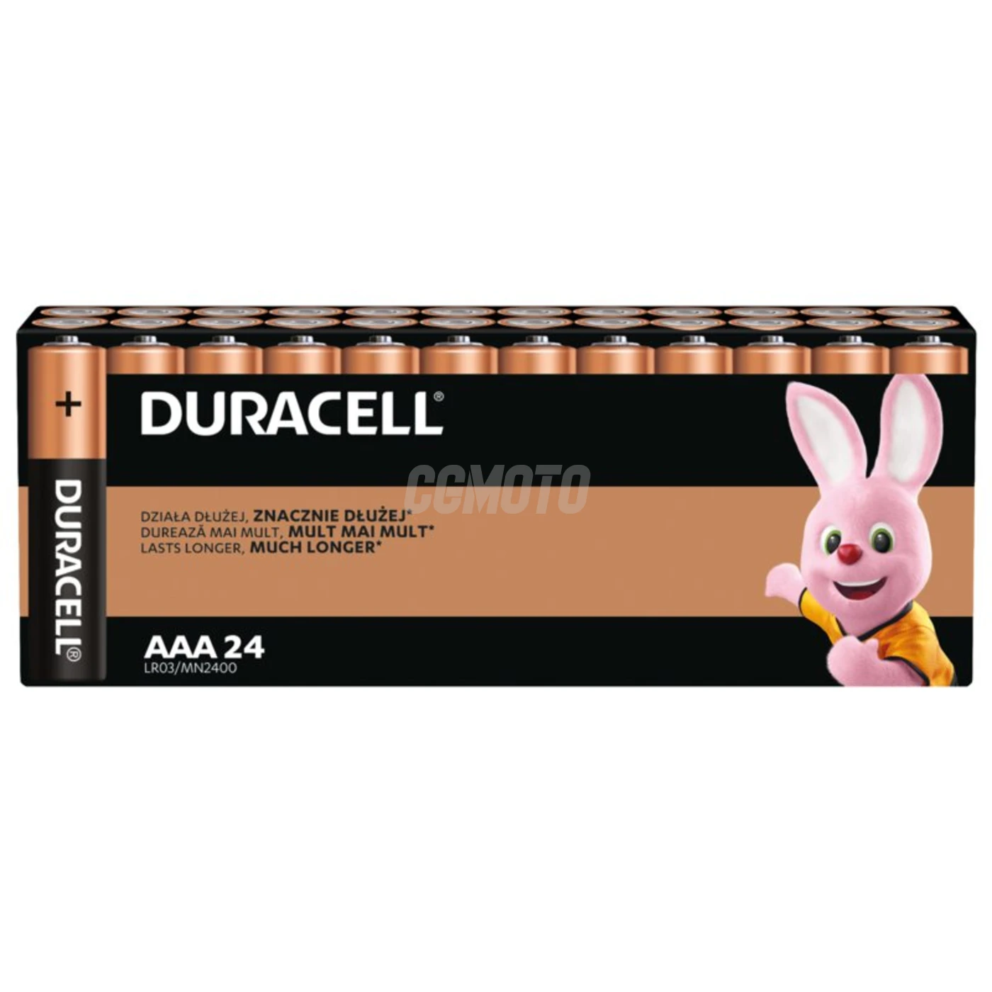 24 alkali-Batterien AAA 1,5 V Basic 