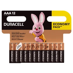 12 alkali-Batterien AAA 1,5 V Basic 